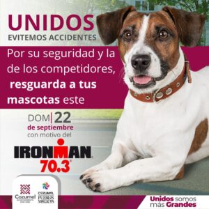 For their safety and that of the competitors, keep your pets safe during the IRONMAN 70.3 sporting event that will take place in #Cozumel on September 22.